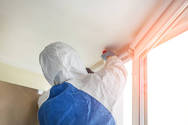 Mold removal